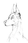 Dog Drawing Print